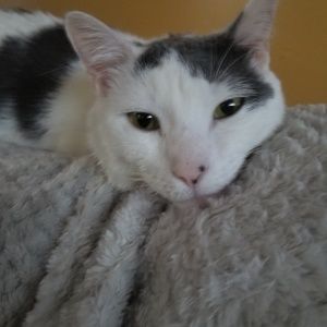 Meet your Posher, Alison